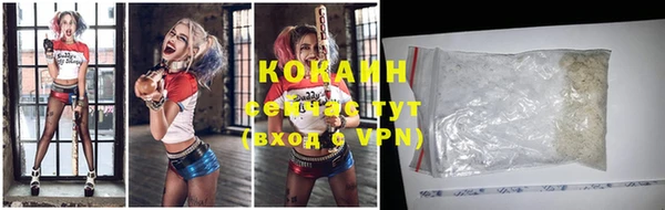 шишки Абинск