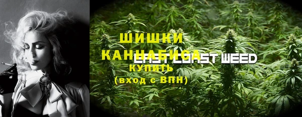 шишки Абинск