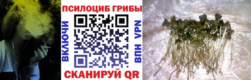 где купить наркоту  мега   Галлюциногенные грибы мухоморы  Сурск 