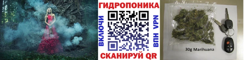 МАРИХУАНА OG Kush  гидра как зайти  Сурск 